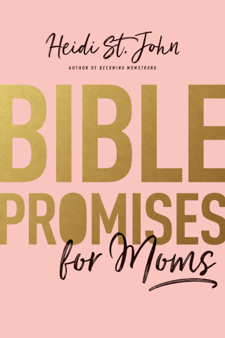 Imagen de portada: Bible Promises for Moms 9781496412720