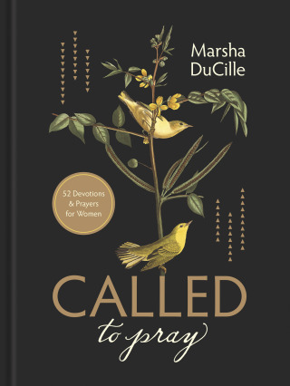 Imagen de portada: CALLED to Pray 9781496435941