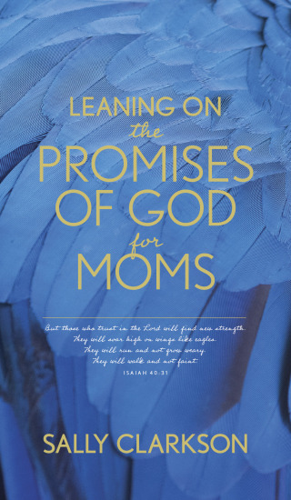 Cover image: Leaning on the Promises of God for Moms 9781496450951