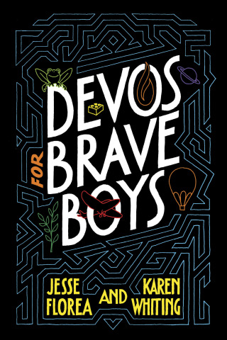 Cover image: Devos for Brave Boys 9781496451163