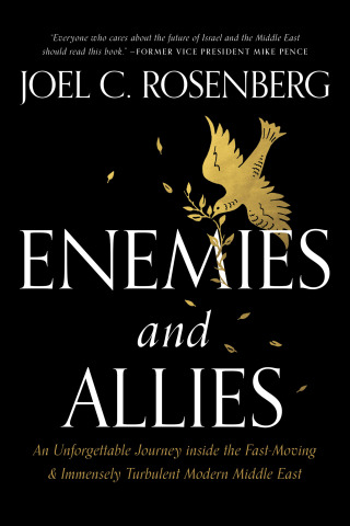 Cover image: Enemies and Allies 9781496453815