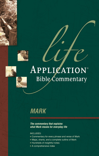 Cover image: Mark 9780842330282
