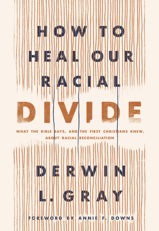 表紙画像: How to Heal Our Racial Divide 9781496458803