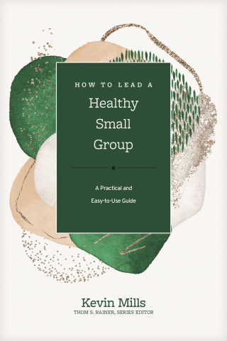 Cover image: How to Lead a Healthy Small Group 9781496462046