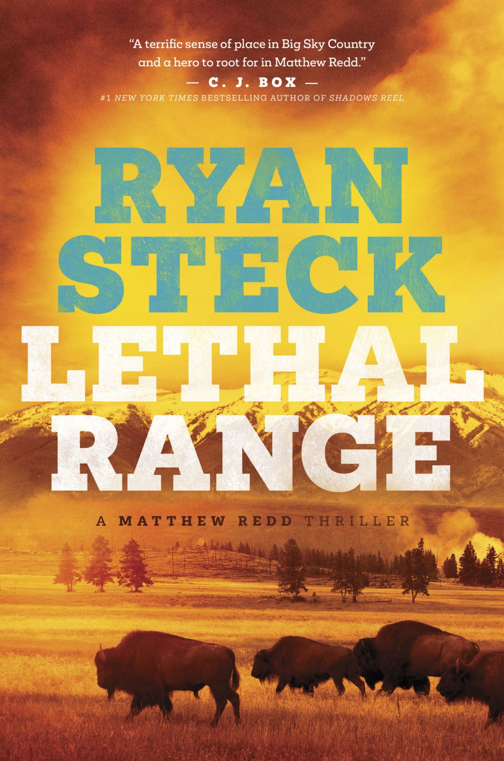 Lethal Range (eBook)