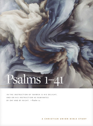 Cover image: Psalms 1--41: A Christian Union Bible Study 9781496460110