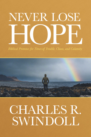 Cover image: Never Lose Hope 9781496476609