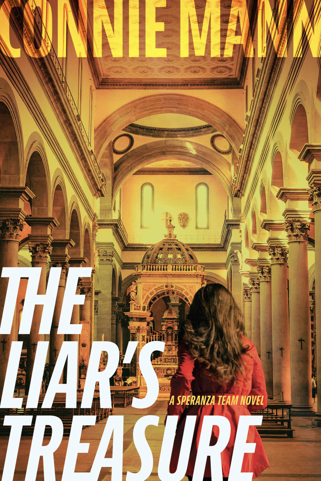 The Liars Treasure eBook
