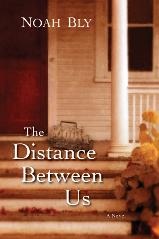 表紙画像: The Distance Between Us 9780758226969