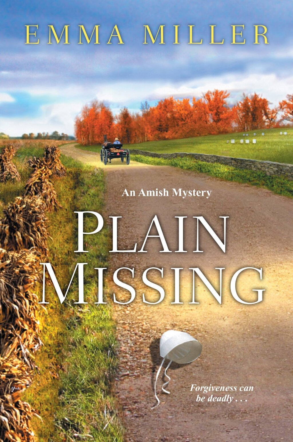 Plain Missing (eBook)