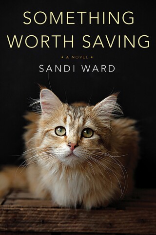 Imagen de portada: Something Worth Saving 9781496711137