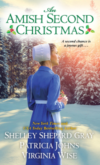 Imagen de portada: An Amish Second Christmas 9781496717832