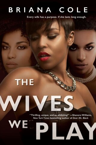 Imagen de portada: The Wives We Play 9781496721969