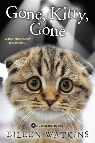 Cover image: Gone, Kitty, Gone 9781496722973
