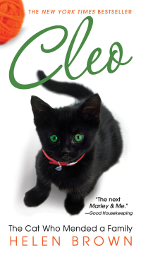 Cover image: CLEO: 9781496722089