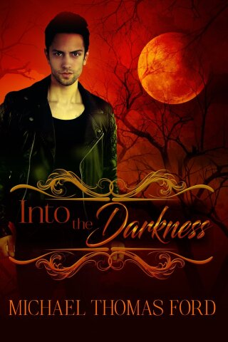 Imagen de portada: Into the Darkness 9781496729590