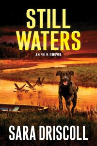 Cover image: Still Waters 9781496735065