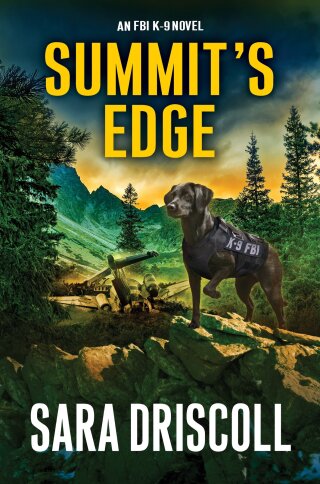 Imagen de portada: Summit’s Edge 9781496744005