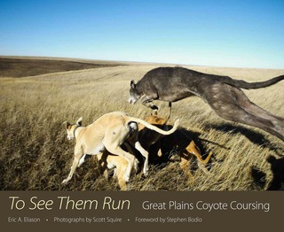 Cover image: To See Them Run 9781496803863