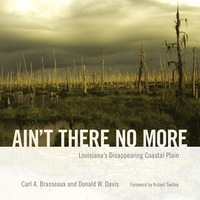 Cover image: Ain't There No More 9781496809483