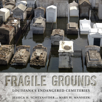 Cover image: Fragile Grounds 9781496814326