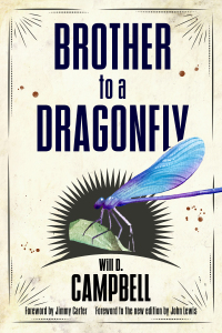 Cover image: Brother to a Dragonfly 9781496816306