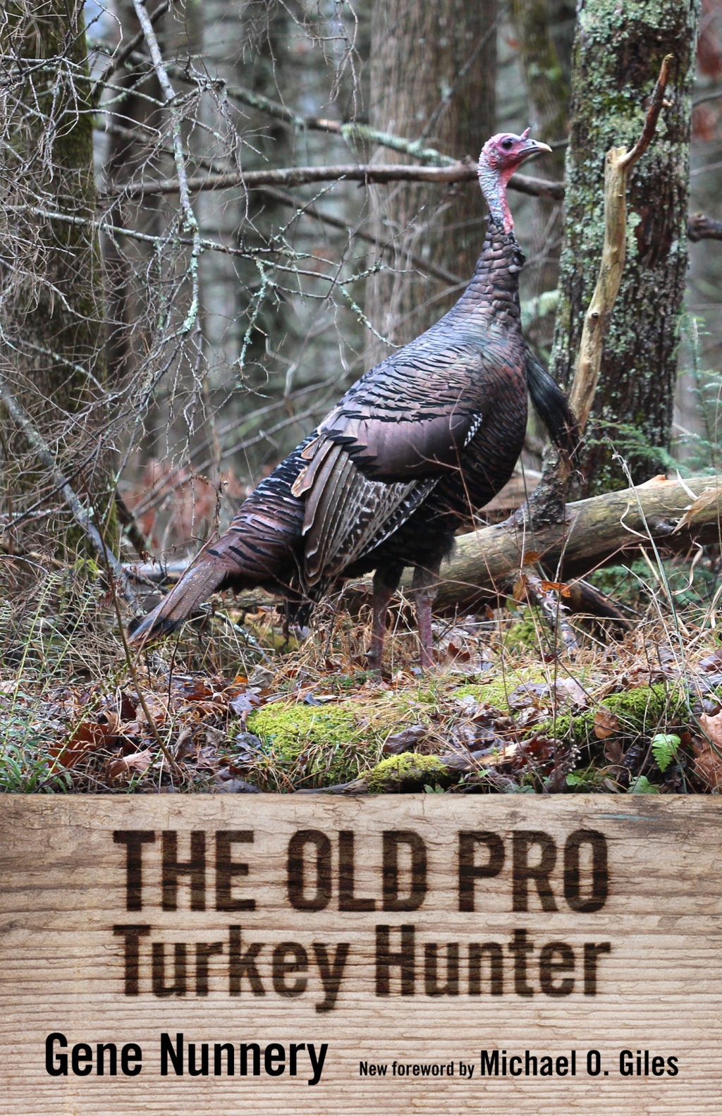 The Old Pro Turkey Hunter eBook