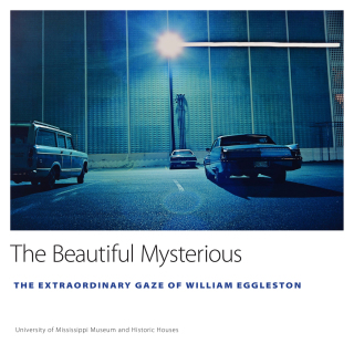 Cover image: The Beautiful Mysterious 9781496822345