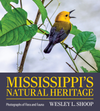 Omslagafbeelding: Mississippi's Natural Heritage 9781496846808