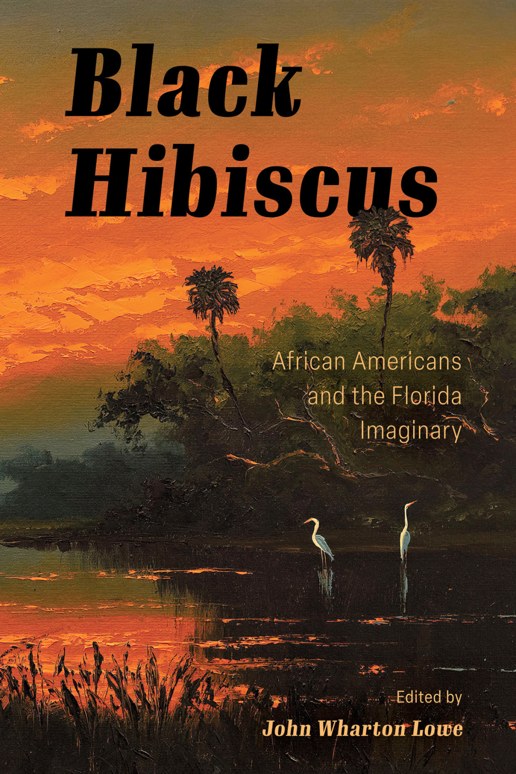 Black Hibiscus African Americans and the Florida Imaginary