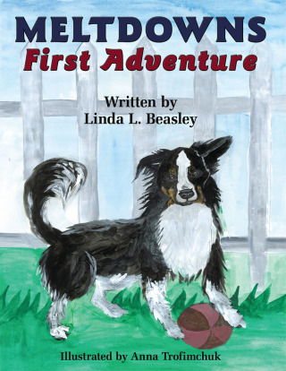 Cover image: Meltdowns First Adventure 9781449097257