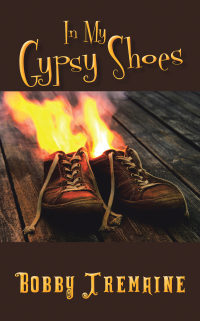 Cover image: In My Gypsy Shoes 9781496916945