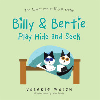 Cover image: Billy & Bertie Play Hide and Seek 9781496991331