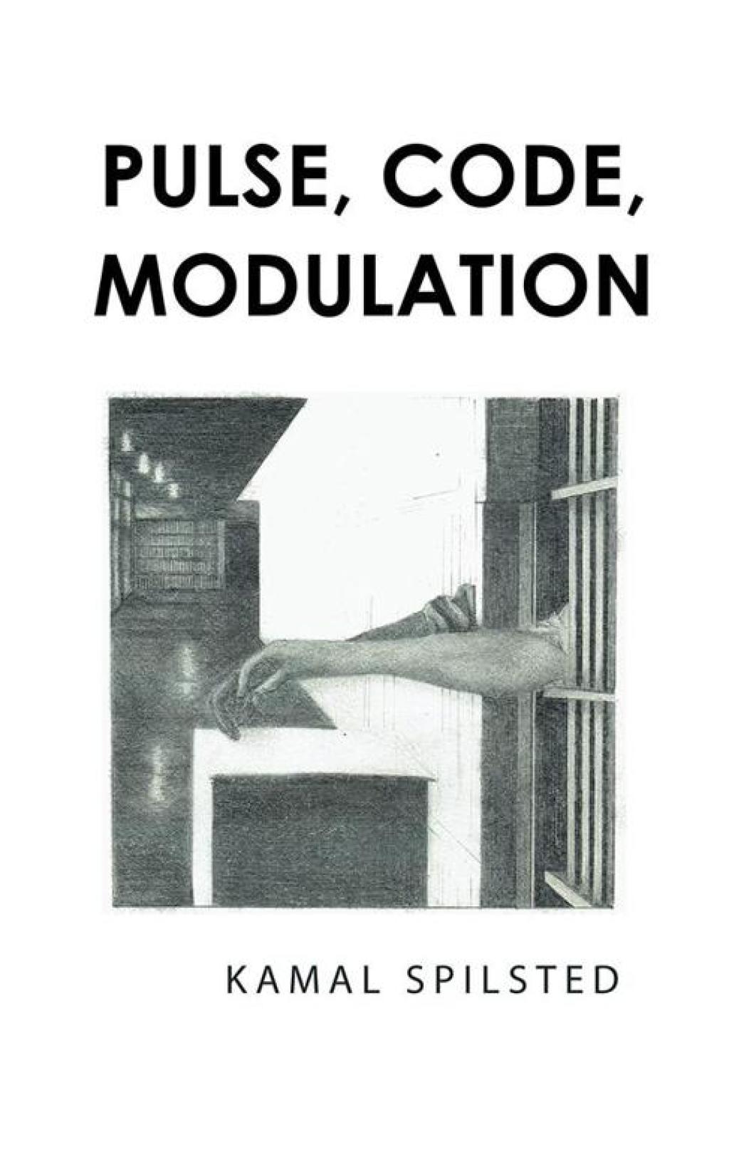 Pulse  Code  Modulation (eBook)