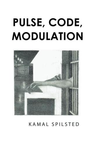 Cover image: Pulse, Code, Modulation 9781496994677