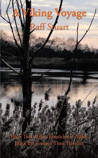 Imagen de portada: A Viking Voyage 9781438974095