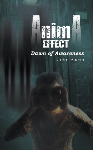 Imagen de portada: Anima Effect 9781496995353