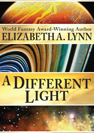 Titelbild: A Different Light 9781497606180