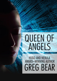 Cover image: Queen of Angels 9781480444485