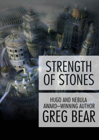 Cover image: Strength of Stones 9780446361934