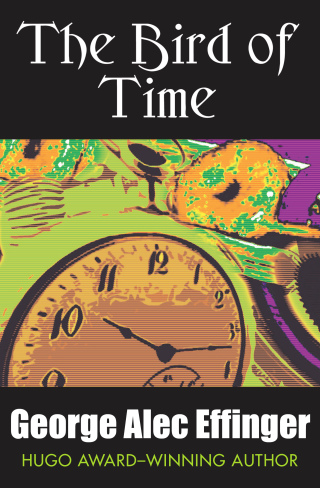 Cover image: The Bird of Time 9781497609464
