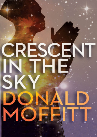 Imagen de portada: Crescent in the Sky 9781497610781