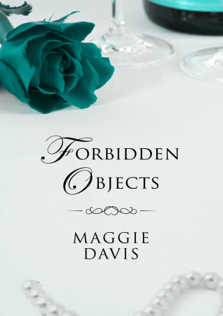 表紙画像: Forbidden Objects 9781497614215