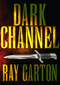 Cover image: Dark Channel 9781497624528