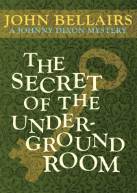 Immagine di copertina: The Secret of the Underground Room 9781497637771