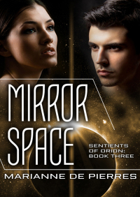 Cover image: Mirror Space 9781497626720