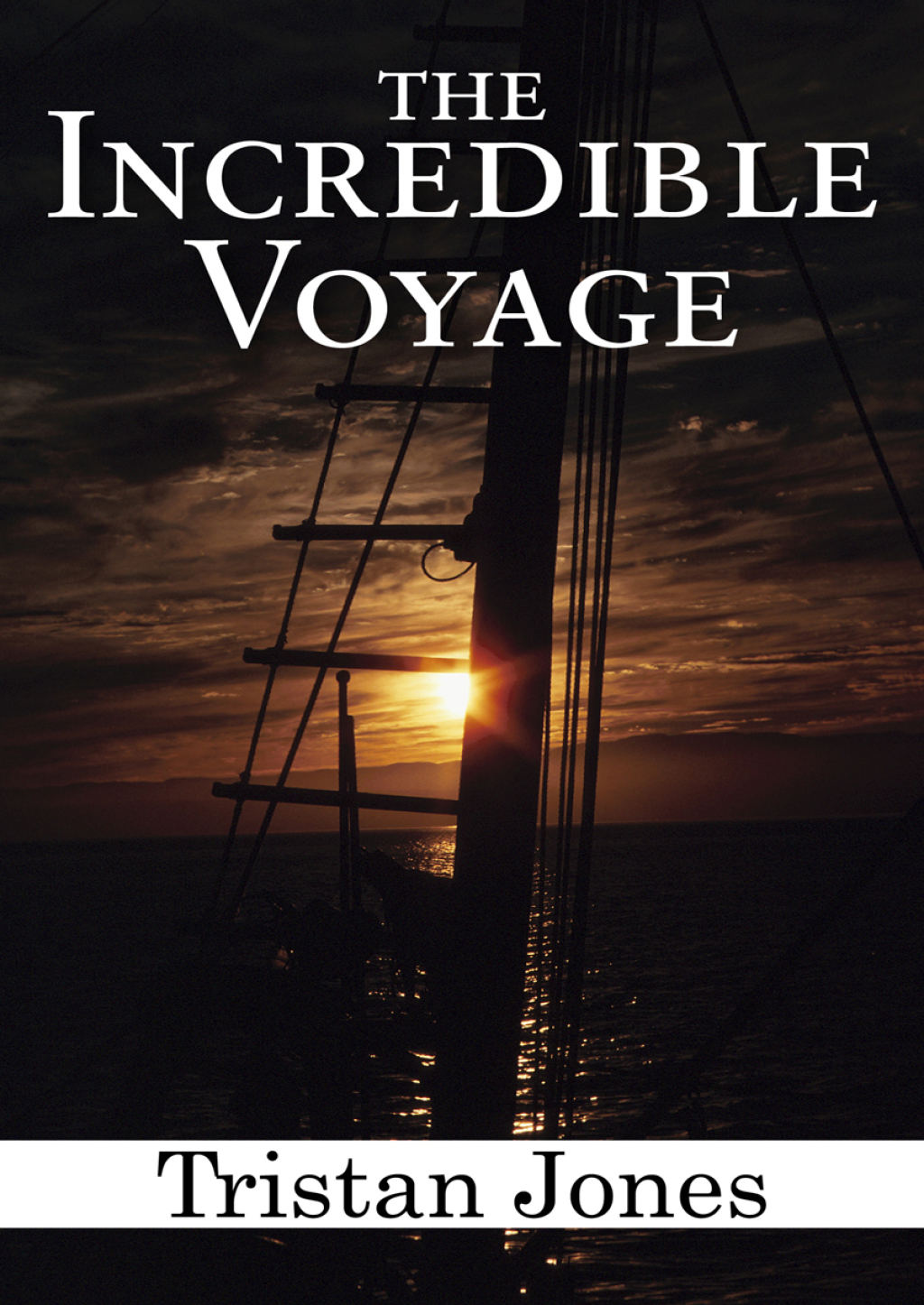 The Incredible Voyage eBook Rental