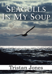 Omslagafbeelding: Seagulls in My Soup 9781497630796