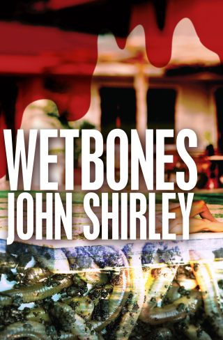 Omslagafbeelding: Wetbones 9781504021784