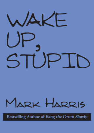 Imagen de portada: Wake Up, Stupid 9781497635210